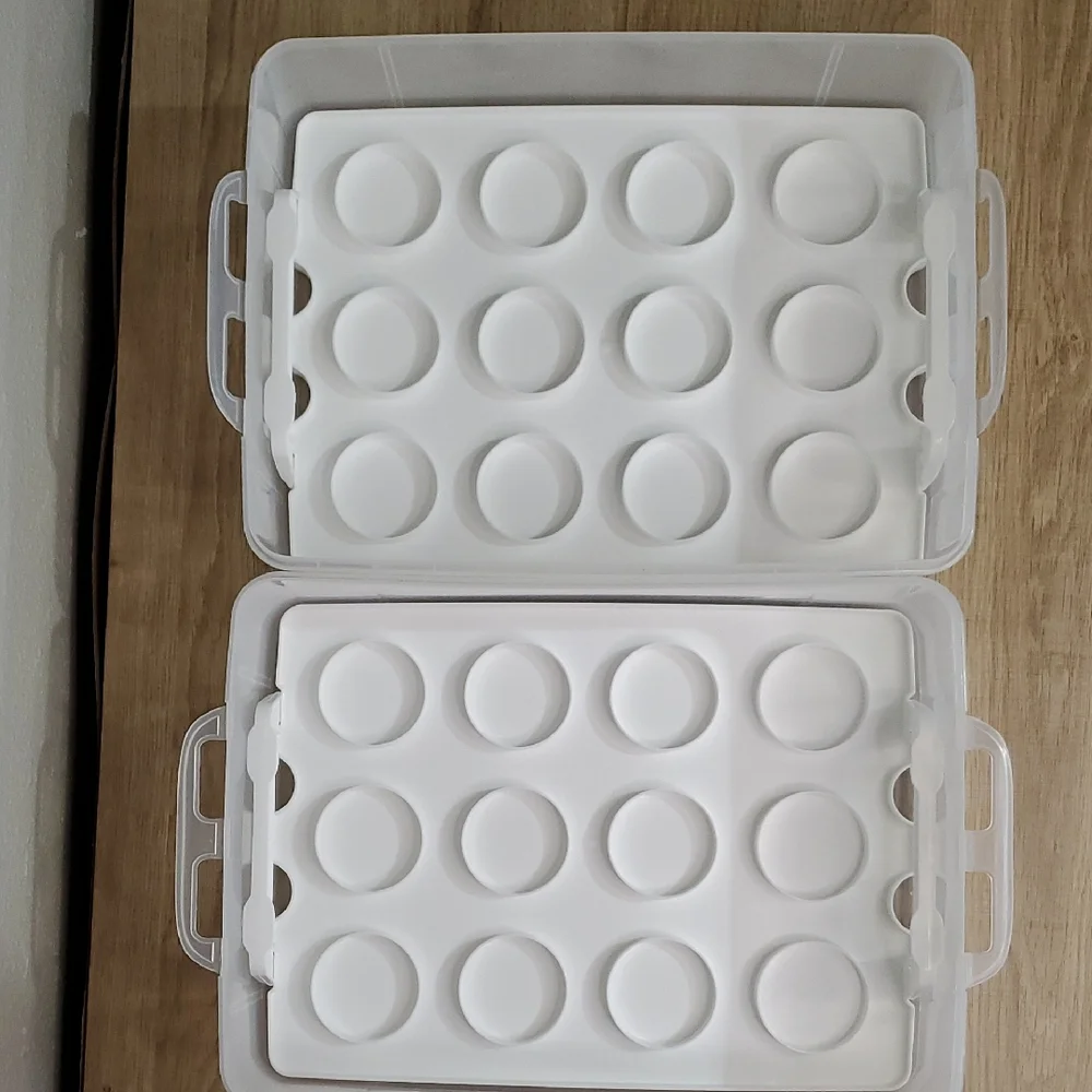 Clear Plastic 2-Tier Snapware Cupcake Cake Dessert Carrier Storage Container